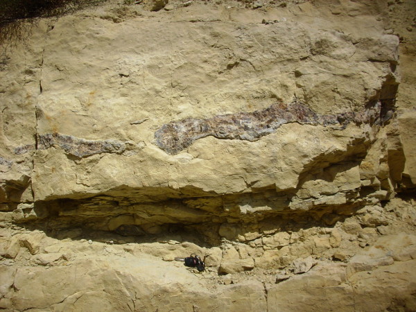 Amsden Formation