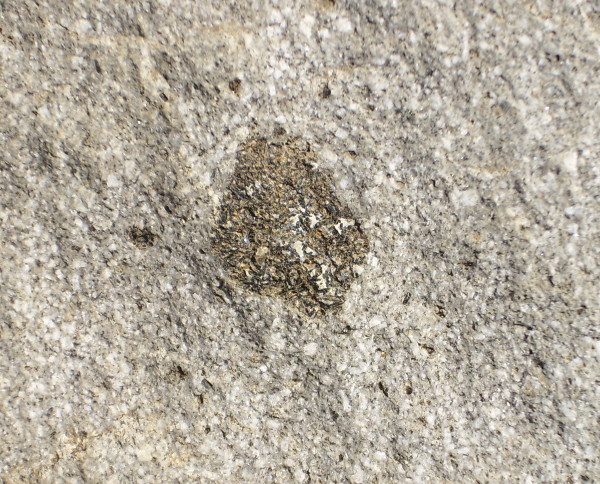 Xenolith