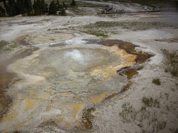 Anemone Geyser