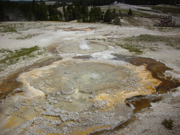 Anemone Geyser