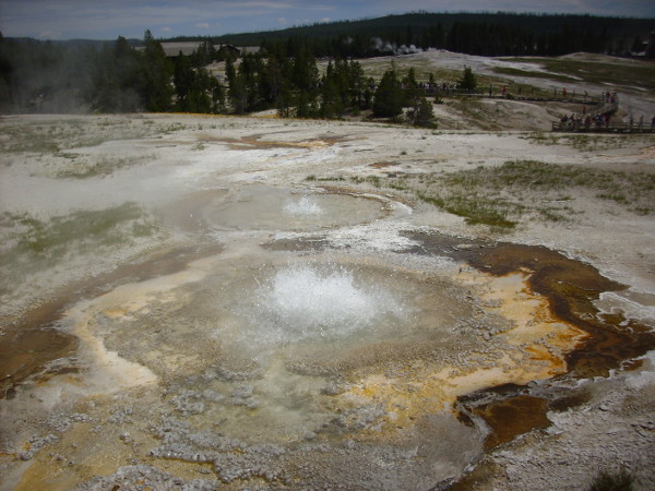 Anemone Geyser