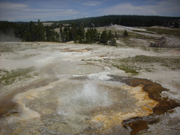 Anemone Geyser