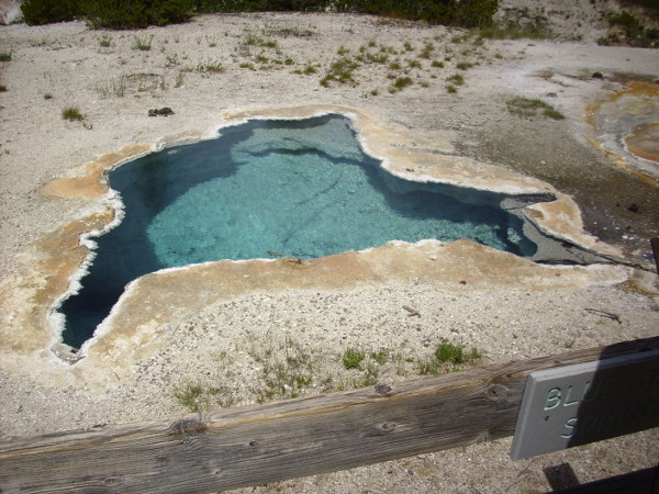 Blue Star Spring