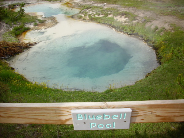 Bluebell Pool