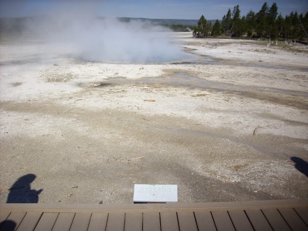 Celestine Pool