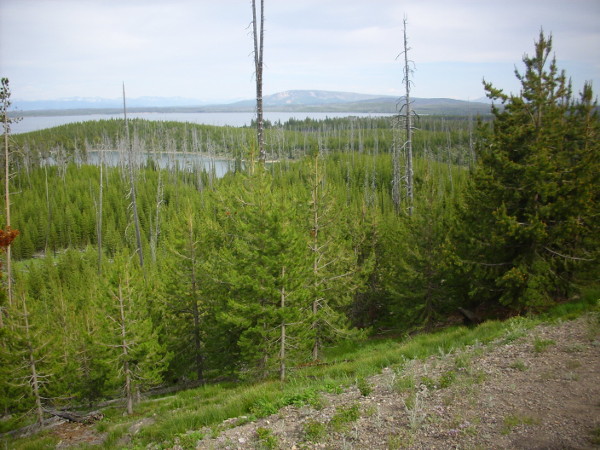 Duck Lake overlook