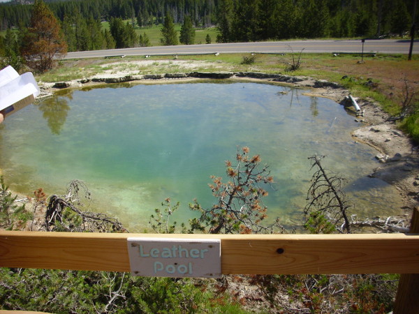 Leather Pool