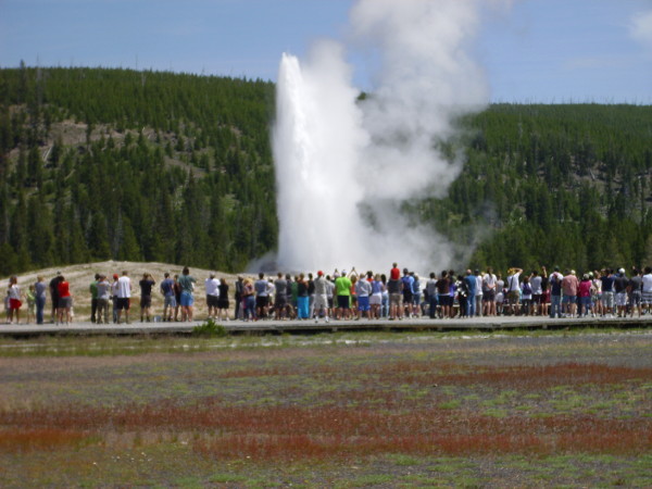 Old Faithful