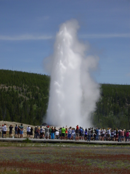 Old Faithful