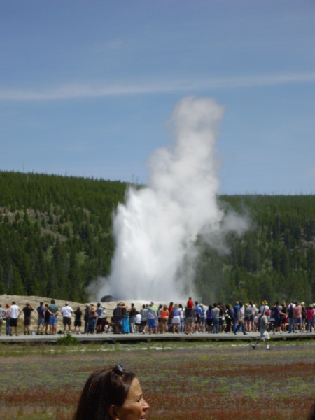 Old Faithful