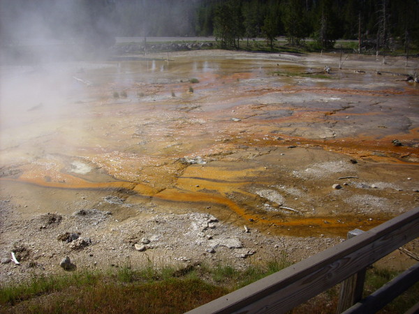 Silex Spring outflow