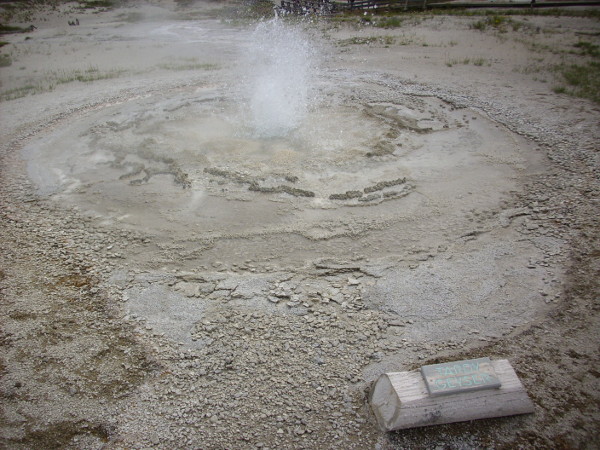 Tardy Geyser