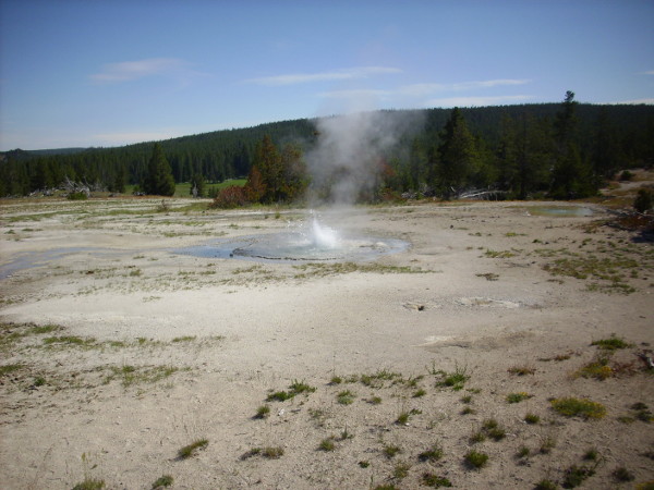 Twig Geyser