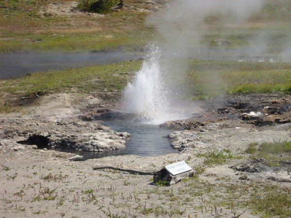 Young Hope Geyser