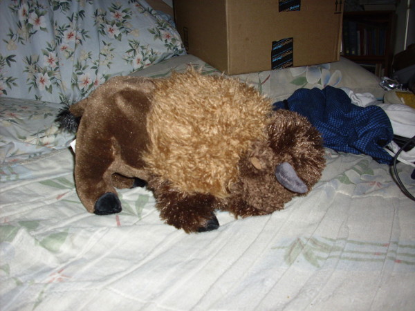 Bison stuffy