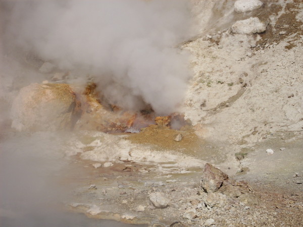 Beryl Spring vents