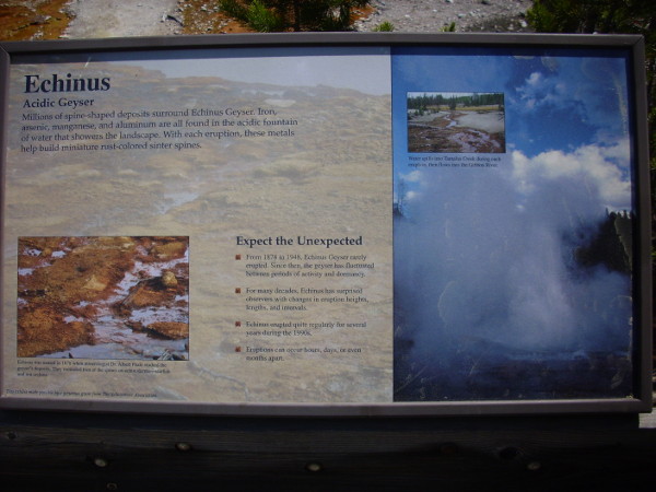 Echinus Geyser