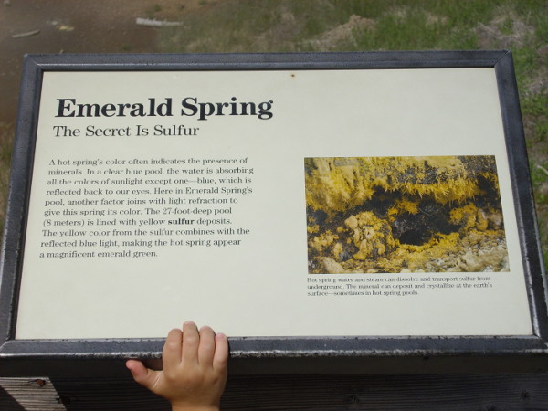 Emerald Spring