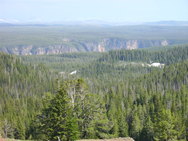 Grand Canyon of the Yellowstone