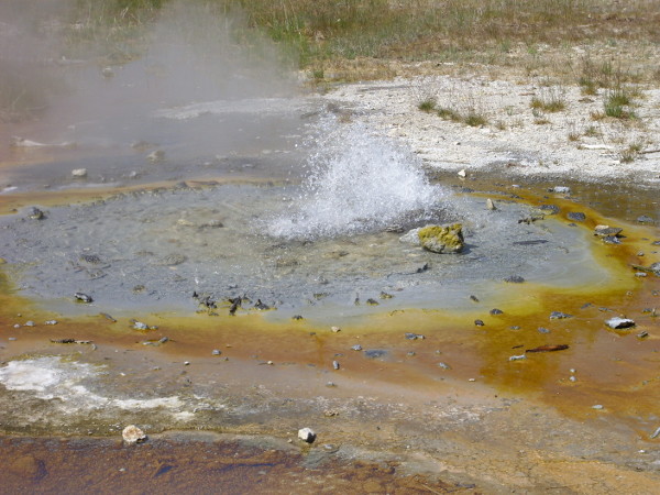 MInute Geyser