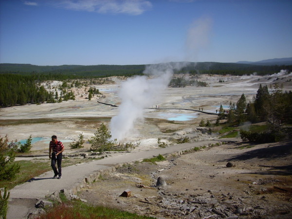 Norris Geyser Basin