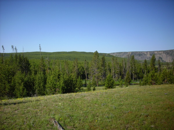 Yellowstone Plateau