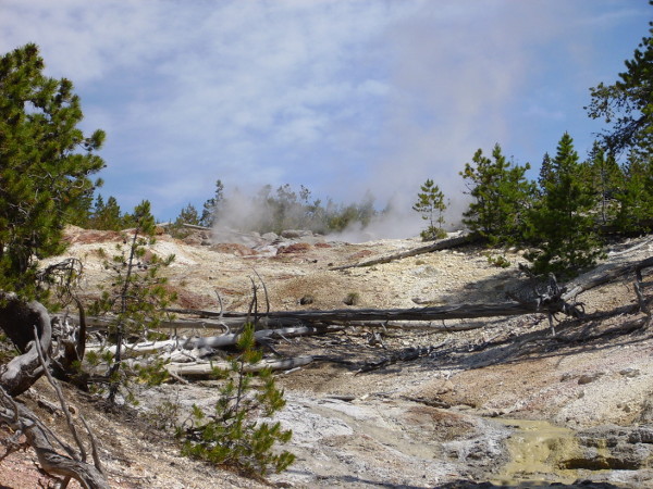 Steamboat Geyser