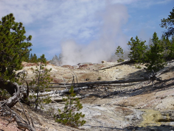 Steamboat Geyser