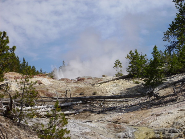 Steamboat Geyser