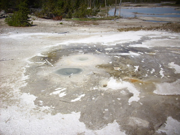 Twin geyser vents