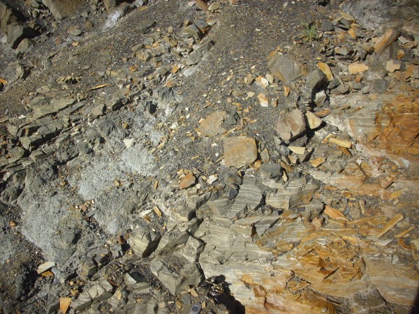 Eagle Tail dike small section