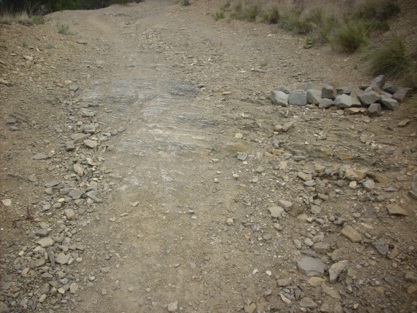 Mancos Shale on trail