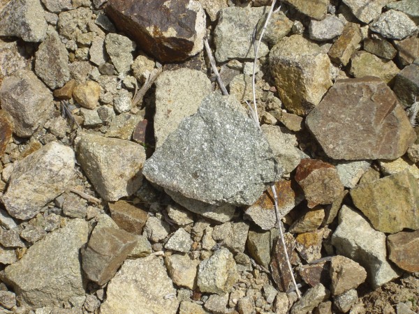 Monzonite sample