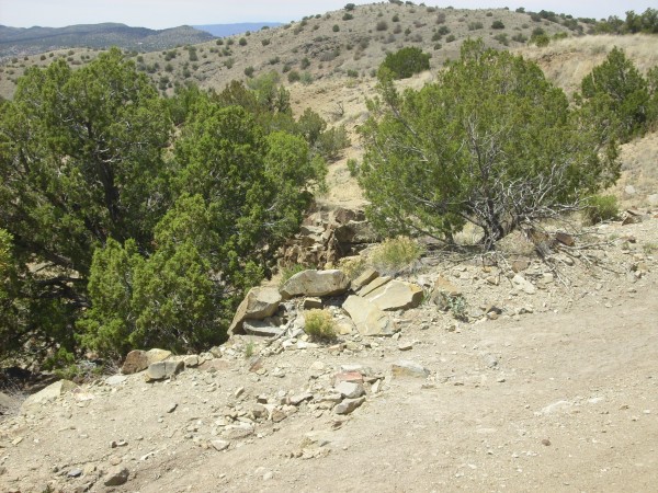 Natural retaining wall