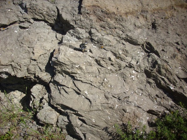 Basalt with calcite vugs