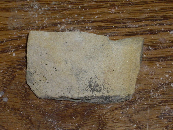 Paguate Sandstone of the Dakota Formation