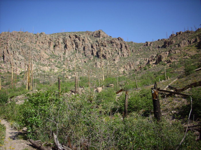 Rendija Canyon