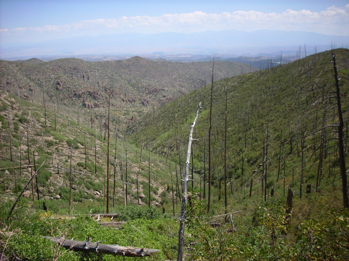 Rendija Canyon