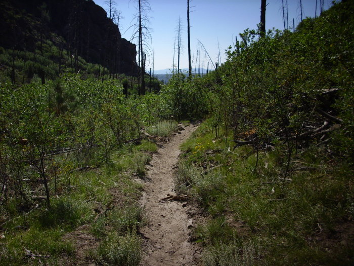 Back down the trail