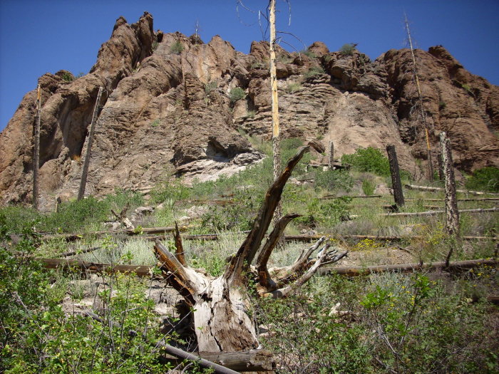 Surge beds