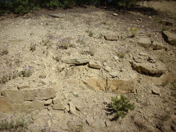 Osha Canyon Formation