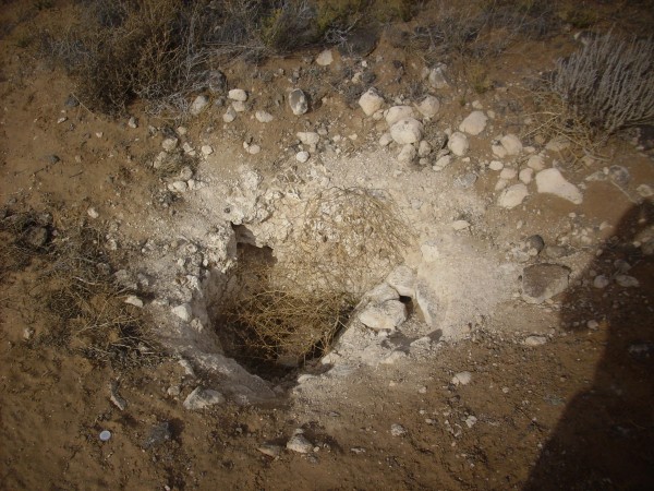 Calichified pit