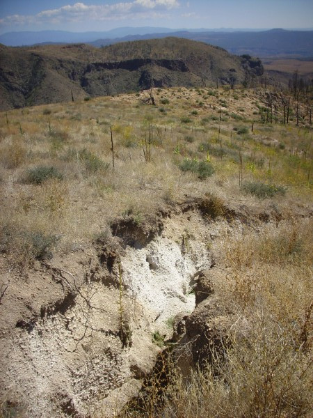 El Cajete
          Pumice in gully