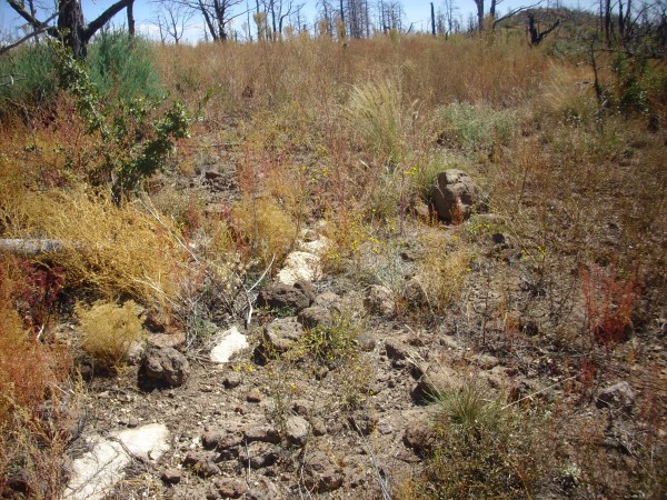 Mystery outcrop contact with Peralta Tuff