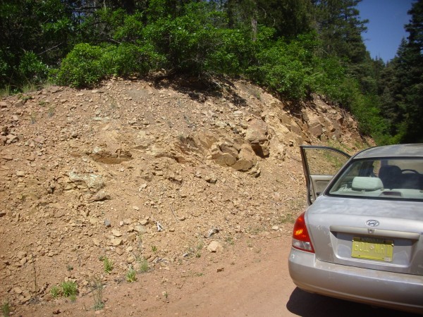 Joaquin clasts in road cut