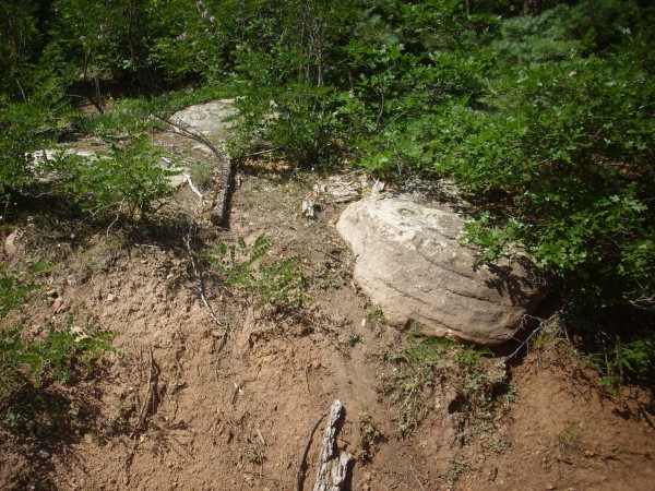 Madera clasts in road cut