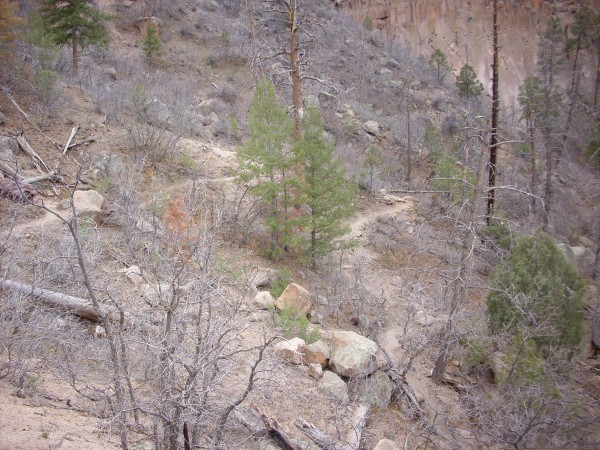 Slope at base of cliffs in Pueblo Canyon
