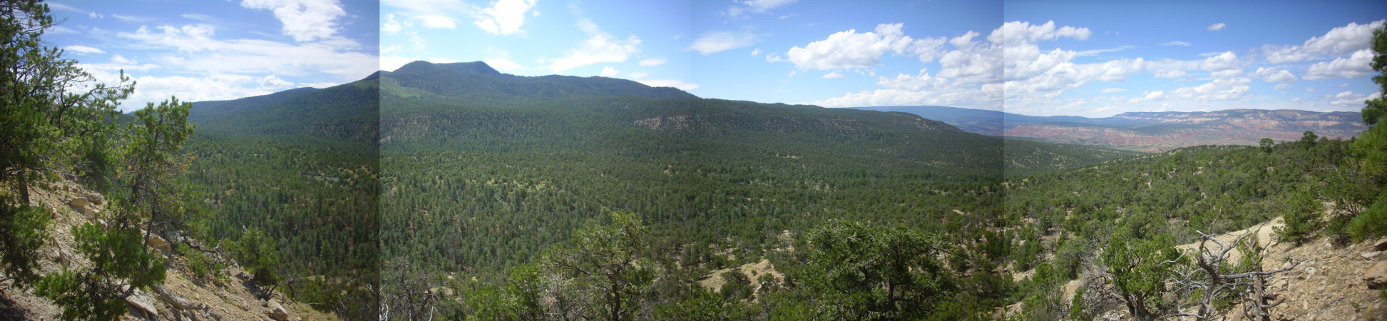 Cretaceous panorama