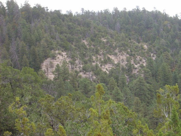 Abiquiu Formation