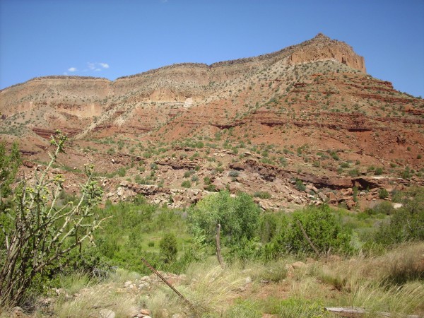 Abo Formation on
        Guadalupe Mesa